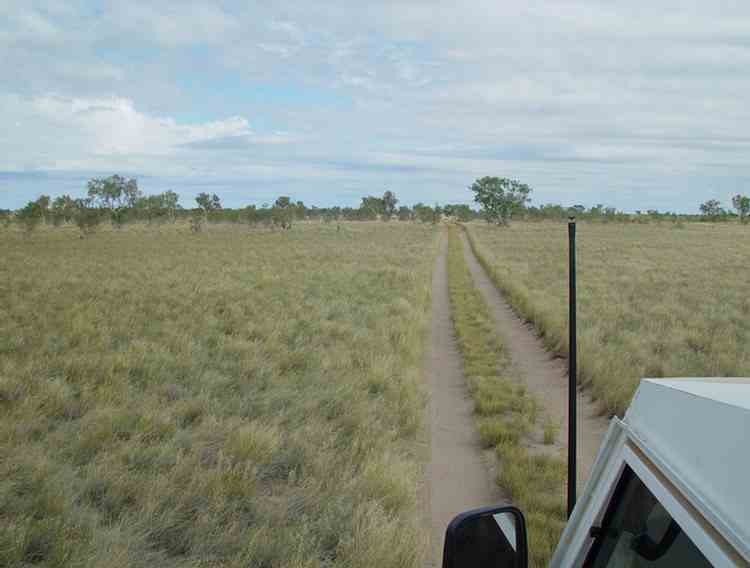 narrow grassy track
