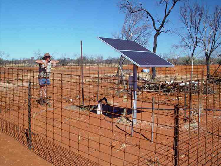 solar powered pump