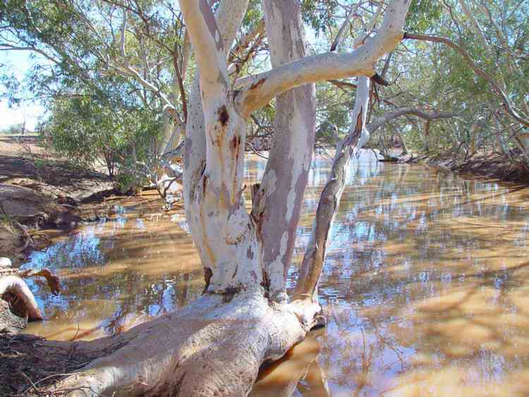 Waterhole