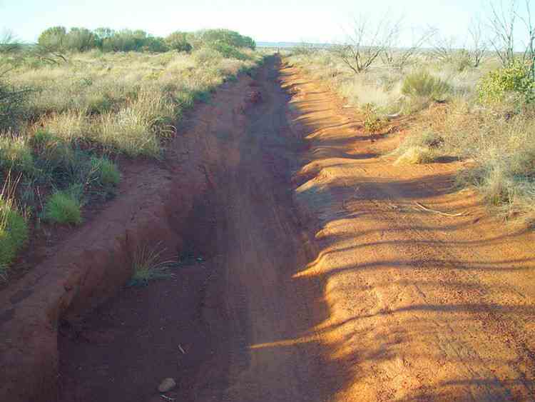 track