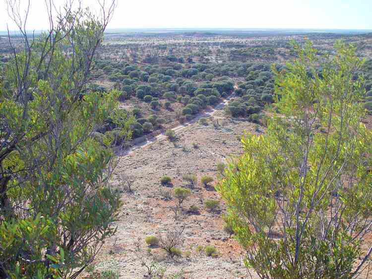 view from Mount Beadell