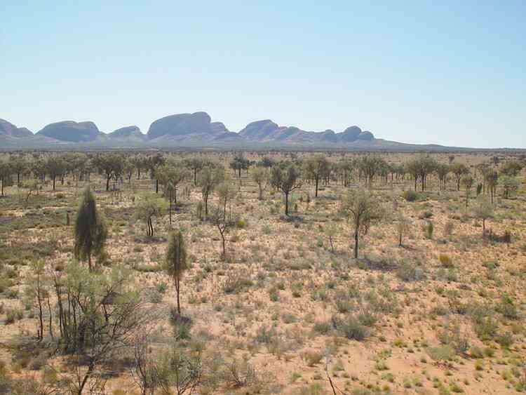 Kata Tjuta